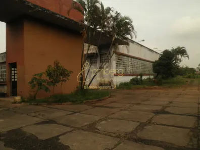 Galpão/Depósito/Armazém à venda, 7000m² no Parque São Domingos, São Paulo