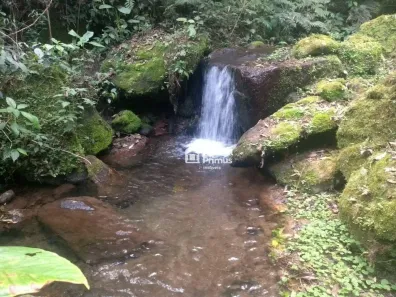 Fazenda/Sítio à venda, 555000m² no Braunes, Nova Friburgo