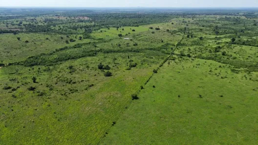Fazenda/Sítio à venda, 22500000m² no , Couto de Magalhães