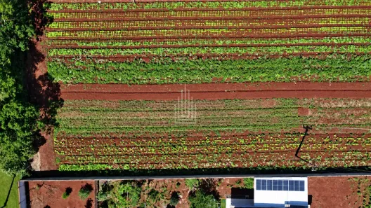 Fazenda/Sítio à venda, 2257m² no Mata Verde, Foz do Iguaçu