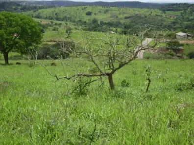 Lote/Terreno à venda, 21393m² no São Gonçalo, Taubaté