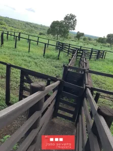 Fazenda/Sítio à venda, 4350000m² no Setor Central, Gurupi