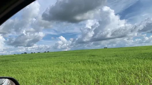 Fazenda/Sítio à venda, 8252200m² no , Piraquê