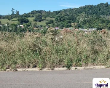 Lote/Terreno à venda, 264m² no Aliança, Santa Cruz do Sul