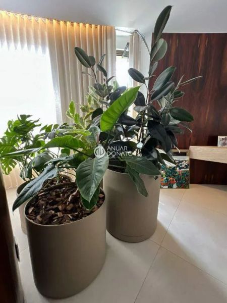 Foto 33