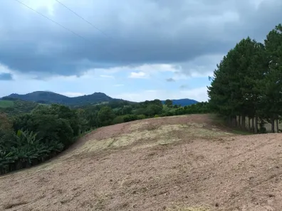 Fazenda/Sítio com 3 Quartos à venda, 44712m² no Bateias, Campo Largo