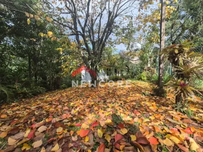 Casa com 8 Quartos à venda, 356m² no Mury, Nova Friburgo