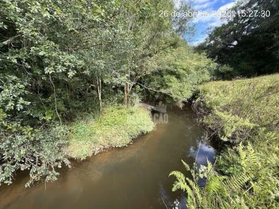 Fazenda/Sítio com 2 Quartos à venda, 60m² no Roça Velha, São José dos Pinhais