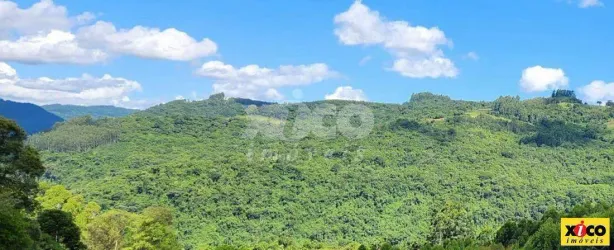 Fazenda/Sítio com 1 Quarto à venda, 5000m² no Pinhal Alto, Nova Petrópolis