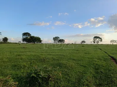 Fazenda/Sítio à venda, 33000m² no Condomínio Satélite, Araraquara