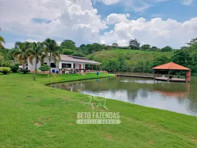 Fazenda/Sítio com 5 Quartos à venda, 19700000m² no , São Miguel do Passa Quatro