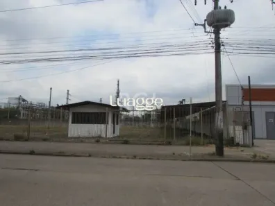 Lote/Terreno para alugar, 1700m² no Navegantes, Porto Alegre
