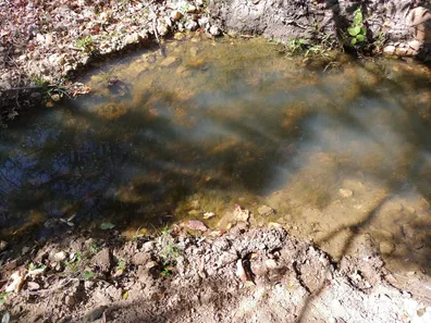 Lote/Terreno à venda, 20000m² no , Jaboticatubas