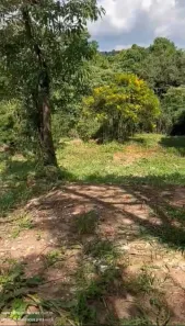 Lote/Terreno à venda, 1196m² no Jardim Estância Brasil, Atibaia