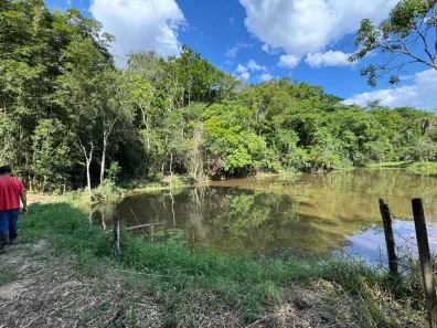 Fazenda/Sítio à venda, 5000m² no Centro, Florestal