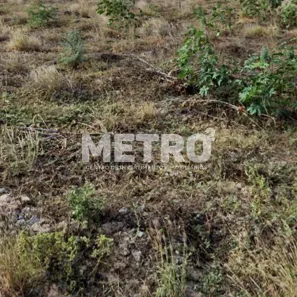 Lote/Terreno à venda, 200m² no Loteamento Recife, Petrolina