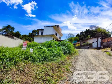 Lote/Terreno à venda, 257m² no Floresta, Joinville