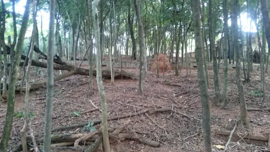 Lote/Terreno à venda, 1737m² no Chácaras Cotia, Contagem