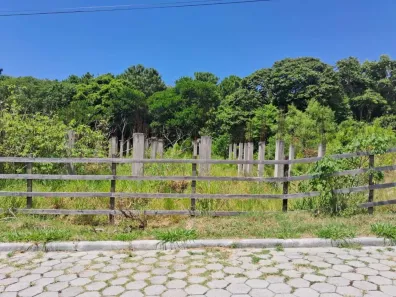 Lote/Terreno à venda, 1224m² no São João do Rio Vermelho, Florianópolis