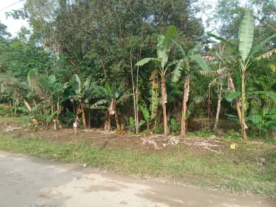 Lote/Terreno à venda, 4000m² no , Morretes