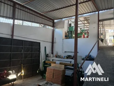 Galpão/Depósito/Armazém com 2 Quartos à venda, 400m² no Vila Bertioga, São Paulo