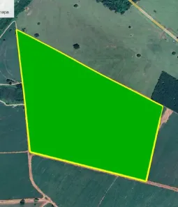 Fazenda/Sítio com 1 Quarto à venda, 363000m² no , Palestina
