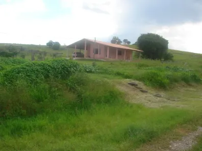 Lote/Terreno à venda, 24811m² no Estacao de Pereiras, Pereiras