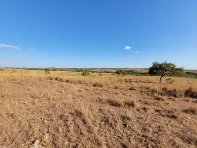 Fazenda/Sítio à venda, 312m² no , Pium