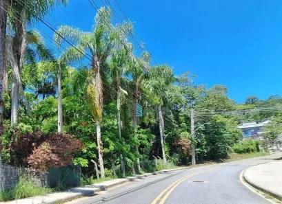 Lote/Terreno à venda, 552m² no Córrego Grande, Florianópolis