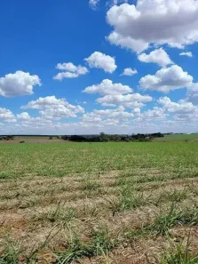 Fazenda/Sítio à venda, 41600m² no Jardim Novo II, Rio Claro
