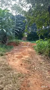 Fazenda/Sítio à venda, 5000m² no Plano Diretor Norte, Palmas