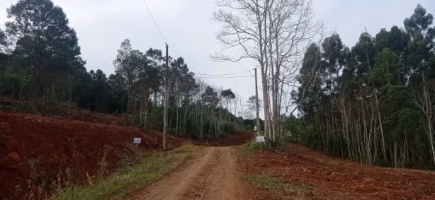 Fazenda/Sítio à venda, 310000m² no , Rolante