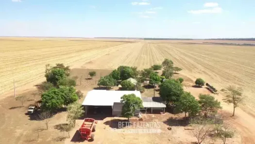 Fazenda/Sítio à venda, 72000000m² no , Querência