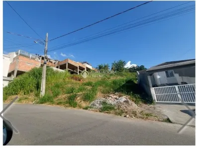 Lote/Terreno à venda, 333m² no Bela Vista, Palhoça