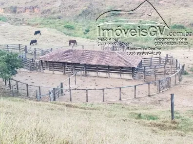Fazenda/Sítio com 1 Quarto à venda, 100m² no Centro, Governador Valadares