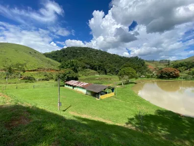 com 7 Quartos à venda, 42637m² no São Joaquim da Grama, Rio Claro