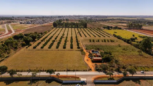 Fazenda/Sítio à venda, 60000m² no Riacho Fundo II, Brasília