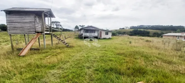 Fazenda/Sítio com 5 Quartos à venda, 20000m² no Criúva, Caxias do Sul