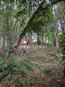 Lote/Terreno à venda, 2365m² no Centro, São Francisco de Paula