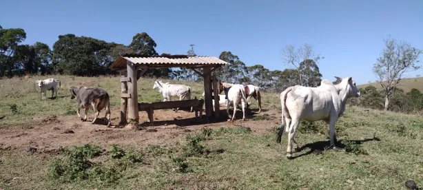 Fazenda/Sítio com 1 Quarto à venda, 100m² no Centro, Guaratinguetá