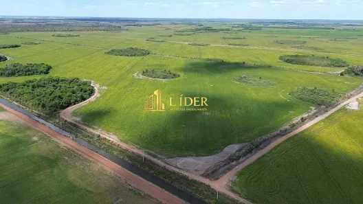 Fazenda/Sítio à venda, 2545m² no Área Rural de Palmas, Palmas