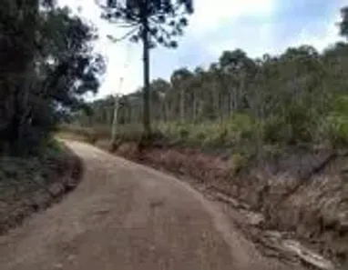Fazenda/Sítio à venda, 20000m² no , Bocaiúva do Sul