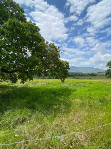 Lote/Terreno à venda, 95832m² no Área Rural de Itabaiana, Itabaiana