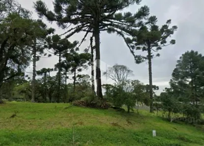 Lote/Terreno à venda, 428m² no Jardim Mariana, Canela
