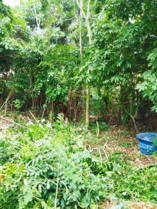 Lote/Terreno à venda, 10m² no Badu, Niterói