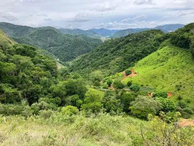 Fazenda/Sítio com 2 Quartos à venda, 20000m² no , Santa Leopoldina