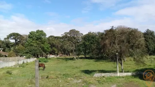 Lote/Terreno à venda, 2580m² no Iguaçu, Fazenda Rio Grande