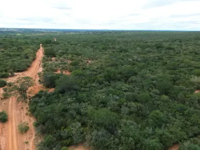 Fazenda/Sítio com 16 Quartos à venda, 99000000m² no , Souto Soares