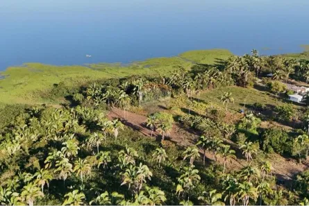 Fazenda/Sítio à venda, 4200m² no , Babaçulândia