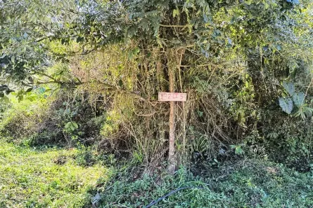 Lote/Terreno à venda, 5181m² no Chácara Glória, Itanhaém